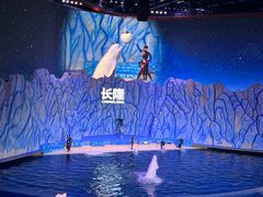 -珠海长隆海洋王国