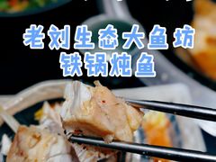 -老刘生态大鱼坊铁锅炖鱼(赛马场店)