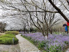 -白塘生态植物园