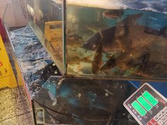 水产区-粗粮人家·东北菜(洋桥店)