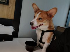 -潮发潮汕牛肉店(龙洞店)