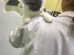 -瑞鹏宠物医院·爱宠堂·骨外专科(西荷分院)