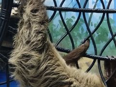 -合肥海洋世界