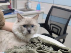 -中农国际动物医院24小时·猫科·骨科·急重症中心