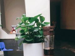 -思念果岭悦温泉