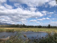 -野鸭湖国家湿地公园