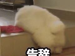 -联合动物医院(光谷诊疗中心)