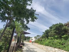 -北京西山国家森林公园