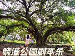 -晓港公园
