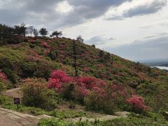 -木兰云雾山