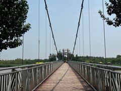 -西青郊野公园