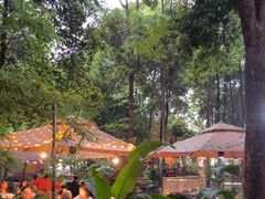 -二荆条·蜀鲜汇城市森林火锅