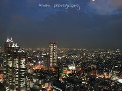-东京都厅舍