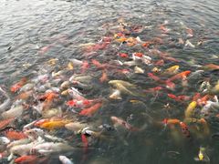 -蒙自源小锅米线(金佰利店)