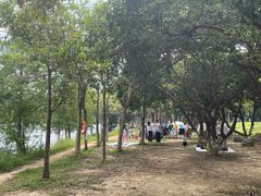 -凤岗南门山森林公园