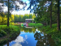 -黄海国家森林公园