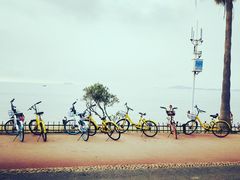 -黄金海岸环岛路