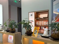 -长风拨筋养身(金虹桥店)