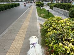 -pd派德宠物中心医院24H急重症·眼科中心·血液透析中心(嵩山北路店)