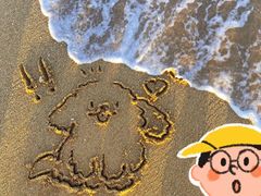 -海底捞火锅(新松江路生日主题店)
