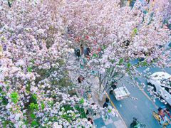 -天津五大道文化旅游区