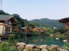 -杭州开元森泊度假乐园