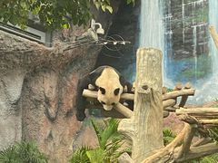 -石排湾郊野公园