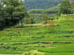 -太湖源风景区