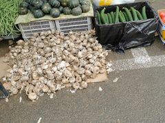 -北京清河镇农副产品交易市场中心