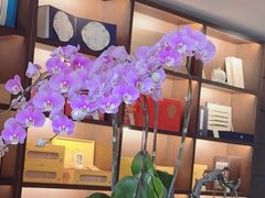 -荷风细雨·中国茶宴(碧云店)