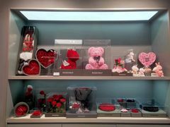 -ROSEONLY诺誓(国际广场购物中心店)