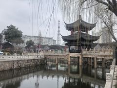 -水绘园
