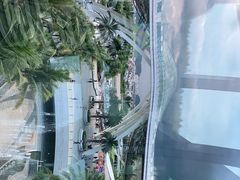 -星巴克(三亚海棠湾国际免税城店)