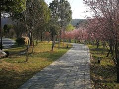 -石塘人家