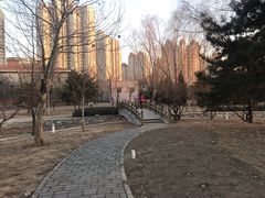 -望湖公园