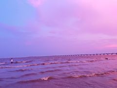 -南汇新城海滩