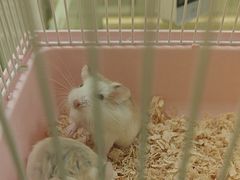 -龙猫仔乐园(惠福东路店)