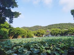 -星巴克(舟山蜈蚣峙店)