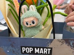 -泡泡玛特POPMART(天环购物中心店)