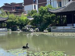 -国寿嘉园·苏州雅境