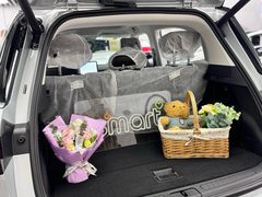 -上海浦东smart汽车全功能店(金桥店)