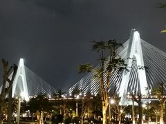 -万绿园