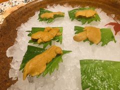 -月龍吟(朝龙汇店)