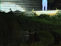 -禅宗少林·音乐大典