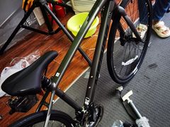 -道路口单车爱瓦士dahon大行