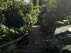 -海口火山口国家地质公园