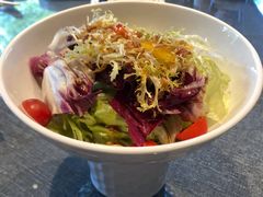 日式蔬菜色拉-御花园·粤菜·海鲜火锅(中山公园店)