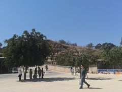 -元谋土林景区(物茂土林)