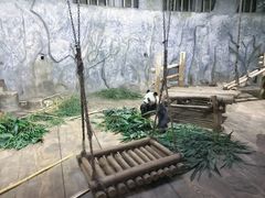 -深圳野生动物园