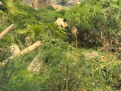 -石排湾郊野公园